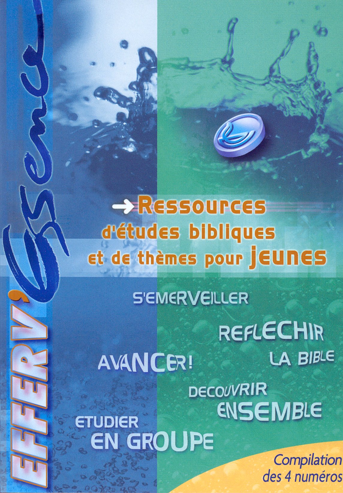 Essentiel (l') Des Grands Themes De La Bible